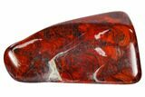 Polished Stromatolite (Collenia) - Minnesota #104431-1